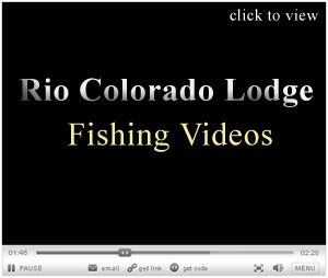 Costa Rica Tarpon Fishing Videos